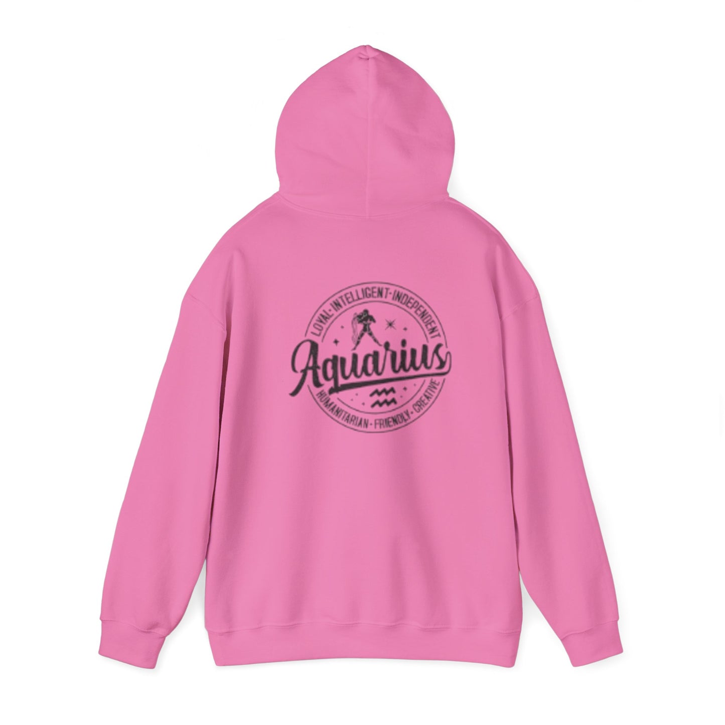 Aquarius Zodiac Hoodie - Optimistic & Independent Sweatshirt