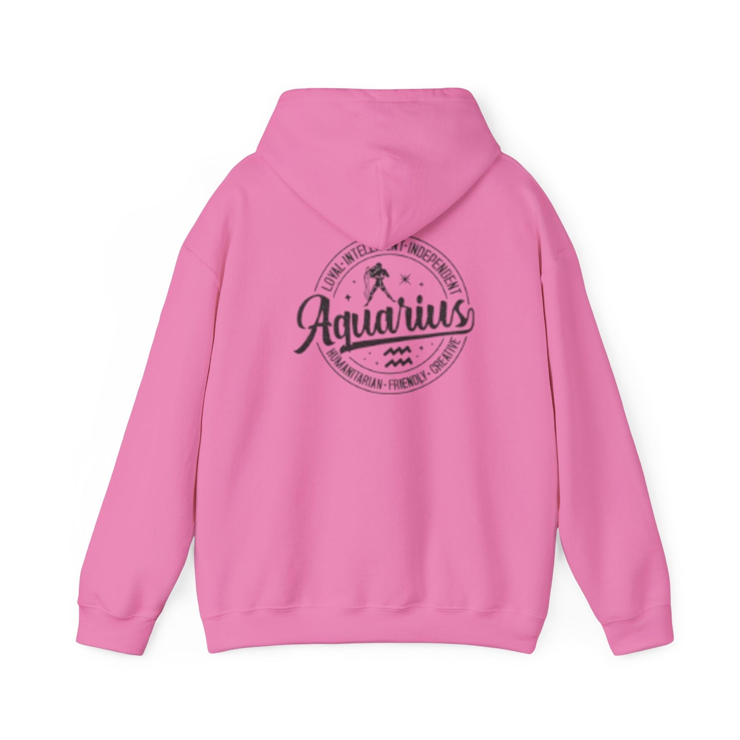 Aquarius Zodiac Hoodie - Optimistic & Independent Sweatshirt